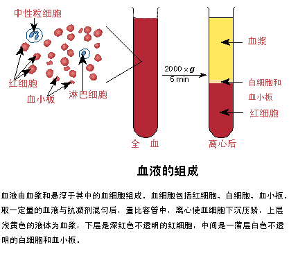 血液血浆成分